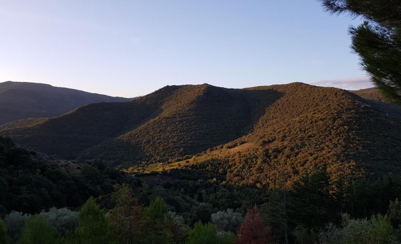 Gites-Terroirs-Occitanie Grenache Felluns Eksteriør billede